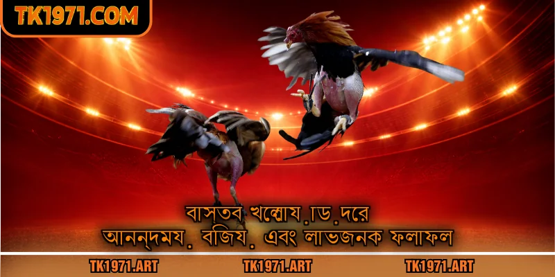 বাস্তব খেলোয়াড়দের আনন্দময় বিজয় এবং লাভজনক ফলাফল
