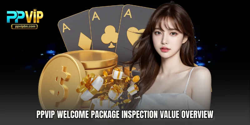 PPVIP Welcome Package Inspection value overview